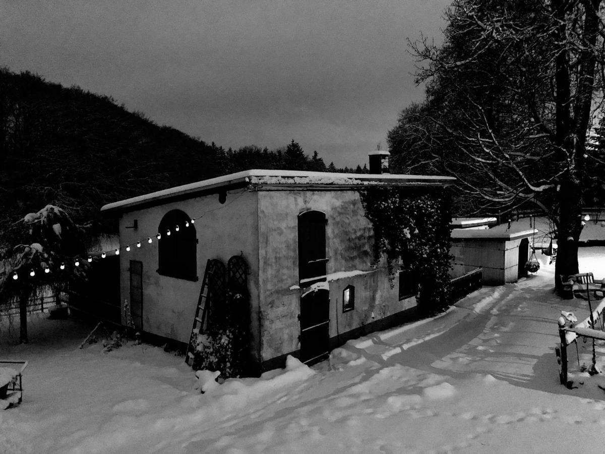 4-Zimmer Apartment Auf Resthof Halver Dış mekan fotoğraf